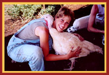 Farm Sanctuary's Adopt a Turkey Program!
